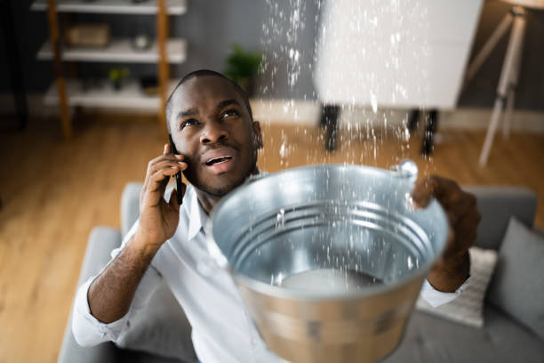 Best Sewage cleanup and water damage restoration  in Owenton, KY