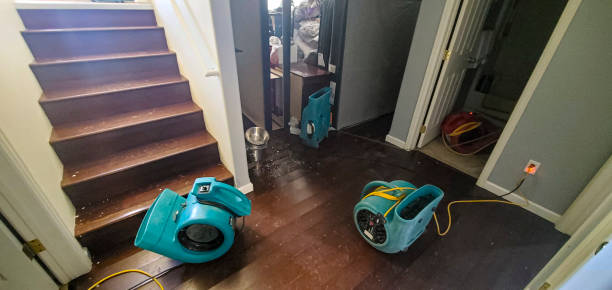Best Carpet water damage restoration  in Owenton, KY
