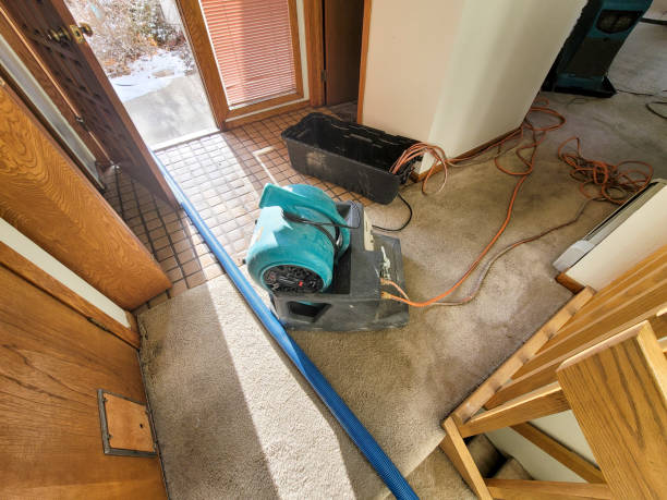  Owenton, KY Water damage restoration Pros