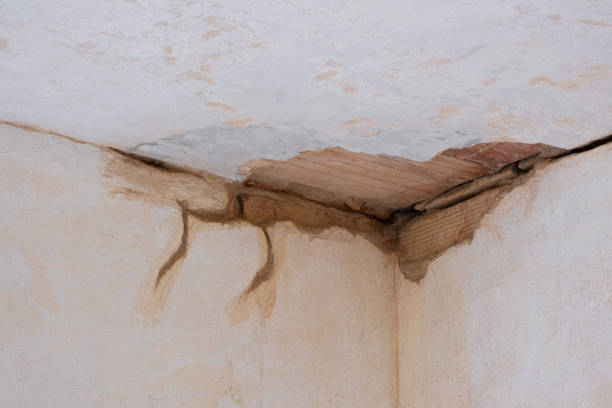 Best Water damage contractors near me  in Owenton, KY