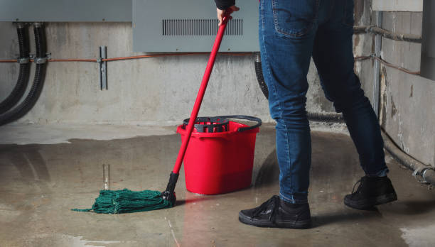 Best Water damage restoration cost  in Owenton, KY