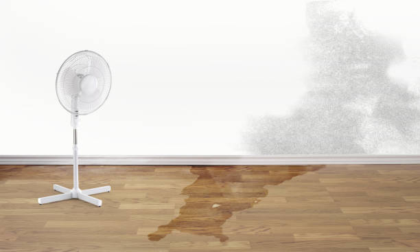 Best Flooded house restoration  in Owenton, KY