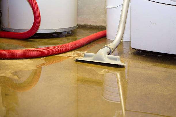 Best Water damage restoration near me  in Owenton, KY