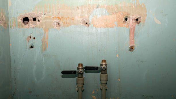 Best Commercial water damage restoration  in Owenton, KY