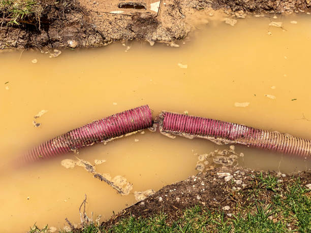 Best Water damage mitigation services  in Owenton, KY